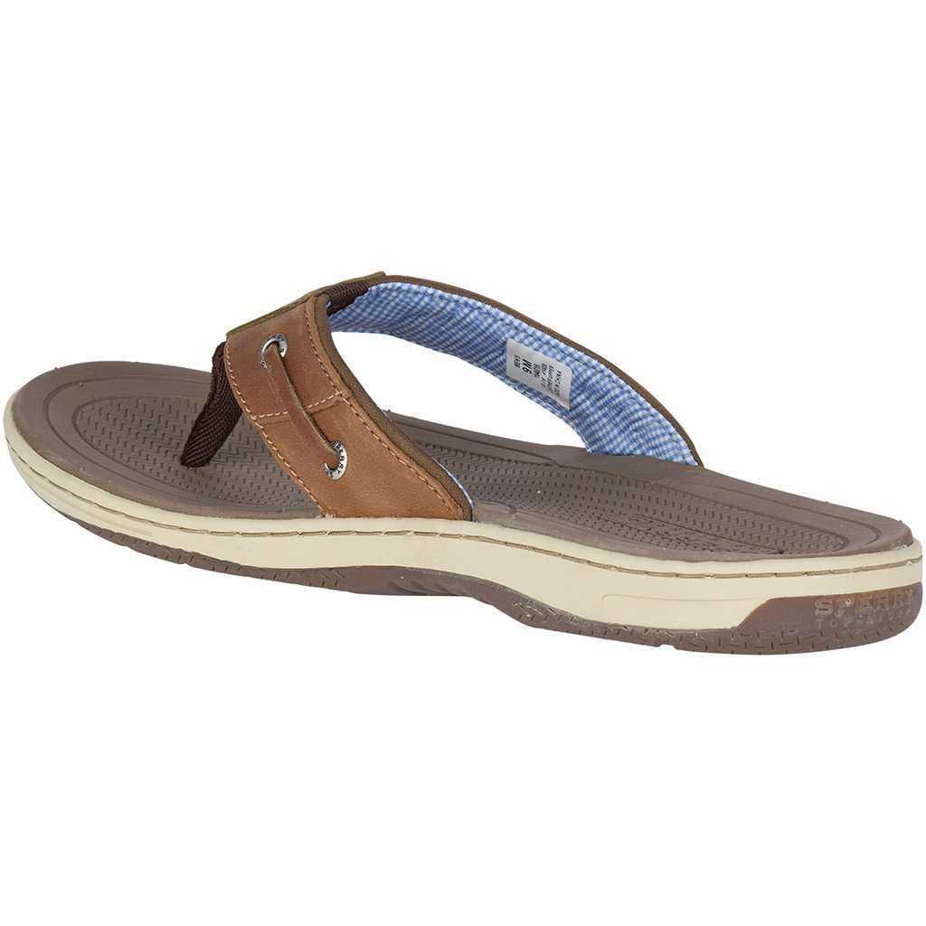 Men's Baitfish Thong in Tan Leather by Sperry - Country Club Prep