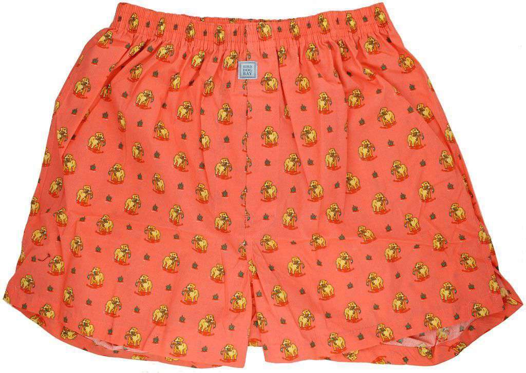 Duck Dog Sporting Boxers in Coral by Bird Dog Bay - Country Club Prep