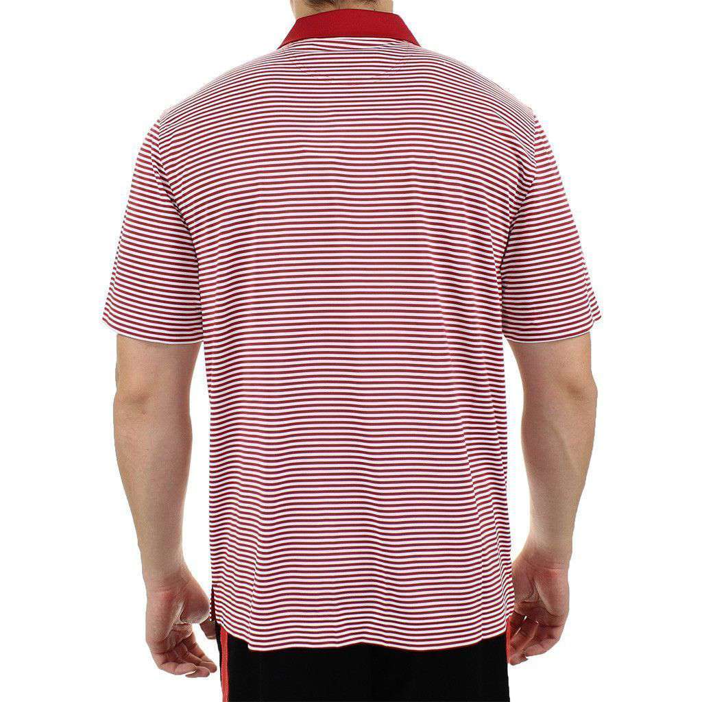Alabama Drytec Trevor Stripe Polo in Crimson and White by Cutter & Buck - Country Club Prep