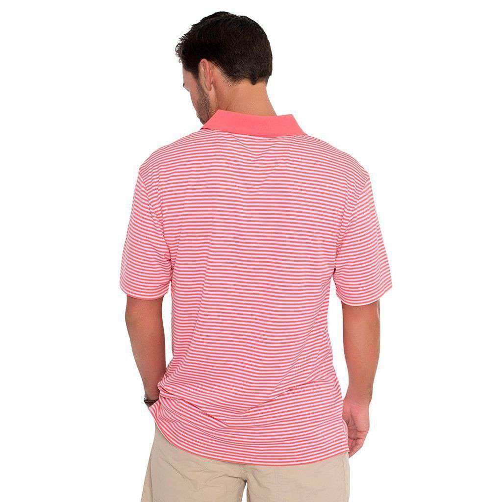 Augusta Stripe Performance Polo in Sugar Coral by The Southern Shirt Co. - Country Club Prep