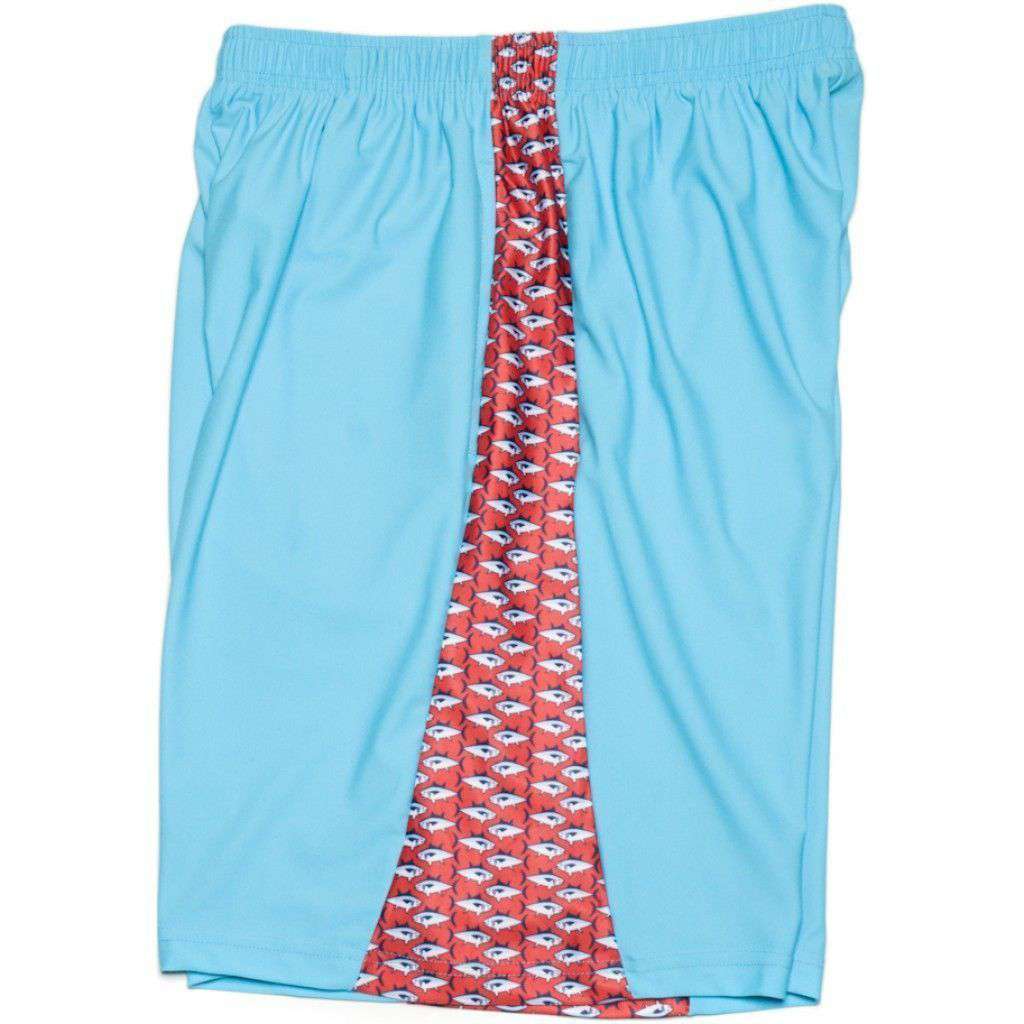 Big Tuna Shorts in Turquoise by Krass & Co. - Country Club Prep