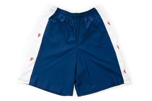 Classic Lobster Shorts in Navy by Krass & Co. - Country Club Prep