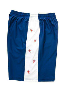 Classic Lobster Shorts in Navy by Krass & Co. - Country Club Prep