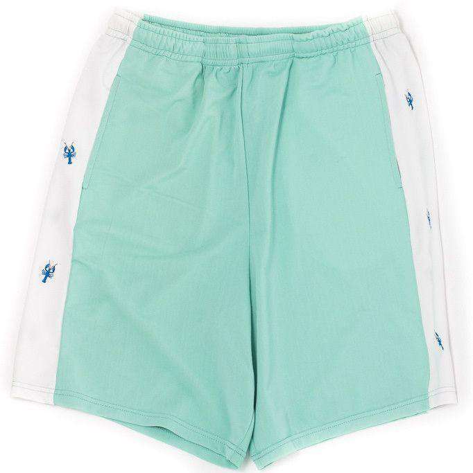 Classic Lobster Shorts in Seafoam Green by Krass & Co. - Country Club Prep