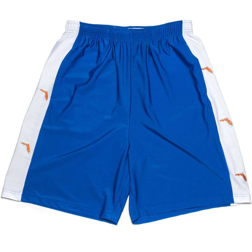 FL Gainesville Shorts in Blue by Krass & Co. - Country Club Prep