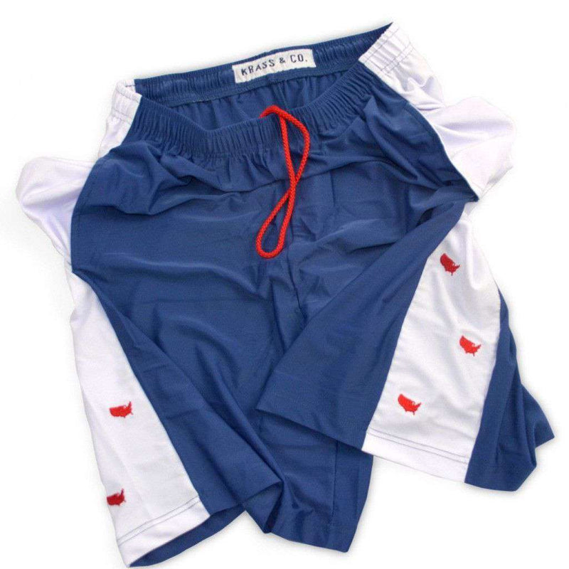 Head of State Shorts in Navy Blue by Krass & Co. - Country Club Prep