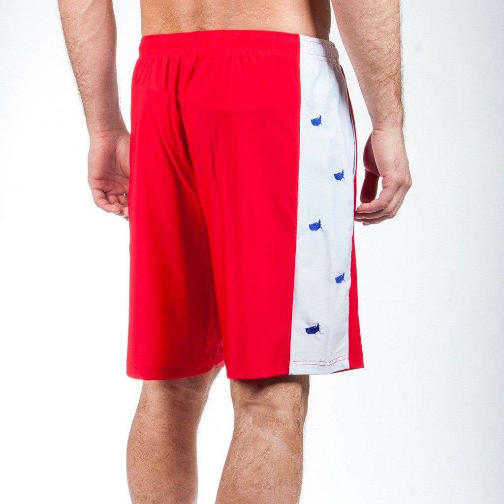 Head of State Shorts in Red by Krass & Co. - Country Club Prep