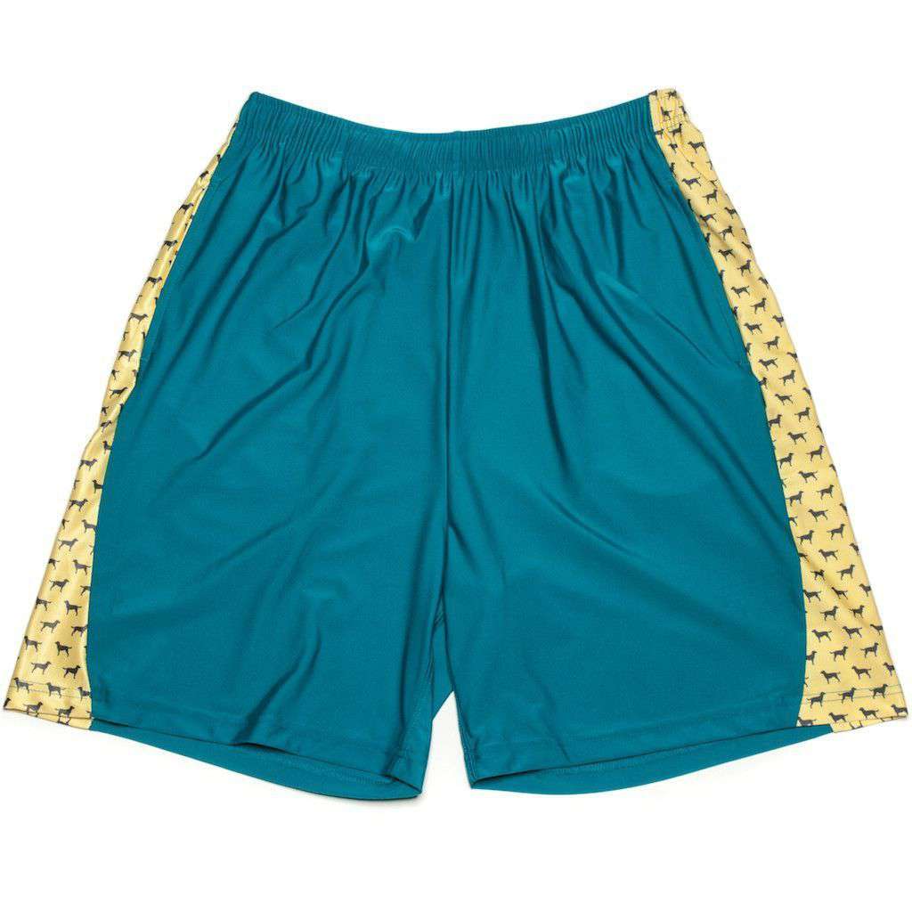 Man's Best Friend Shorts in Blue by Krass & Co. - Country Club Prep