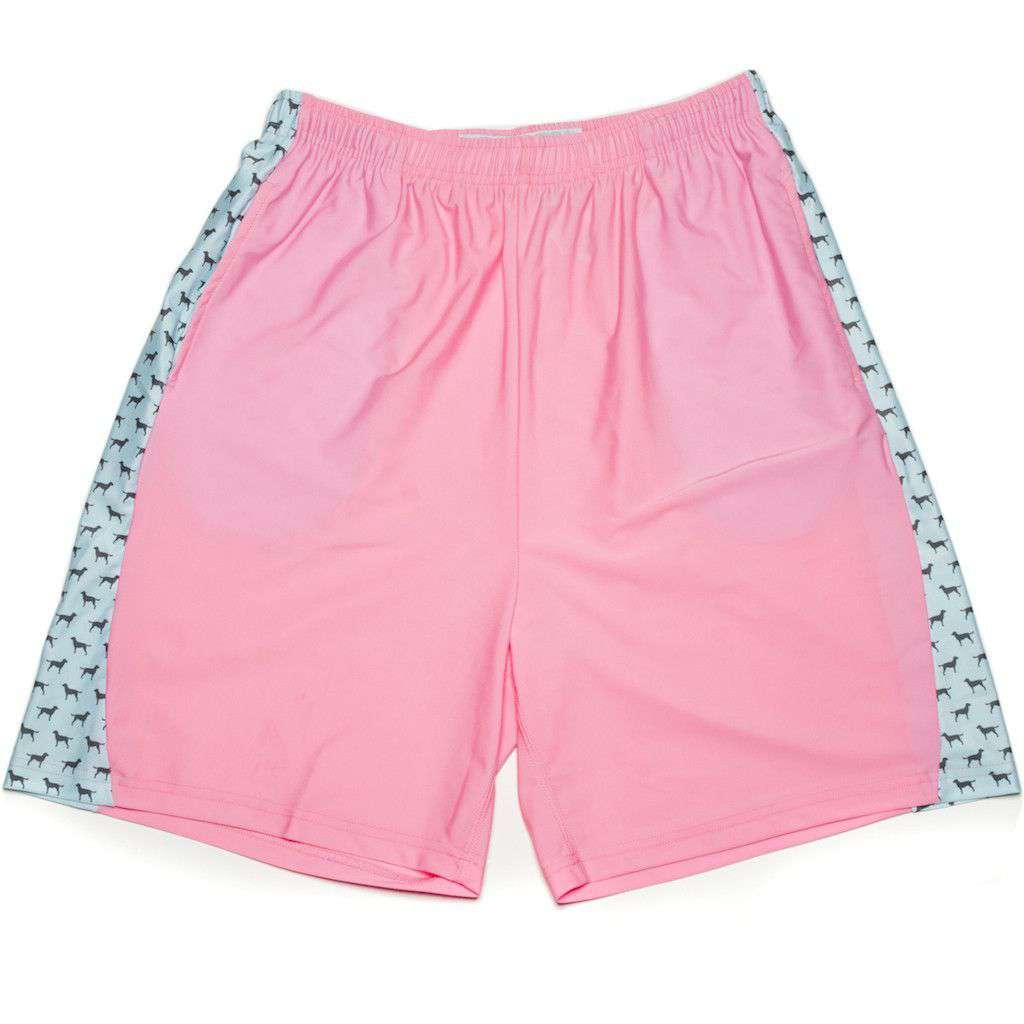 Man's Best Friend Shorts in Pink by Krass & Co. - Country Club Prep