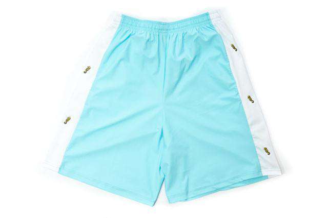 Sam's Seahorse Shorts by Krass & Funnell - Country Club Prep