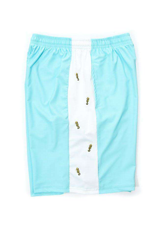 Sam's Seahorse Shorts by Krass & Funnell - Country Club Prep