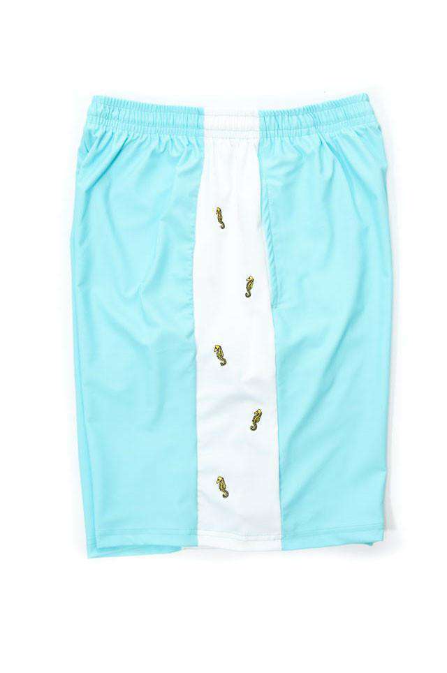 Sam's Seahorse Shorts by Krass & Funnell - Country Club Prep