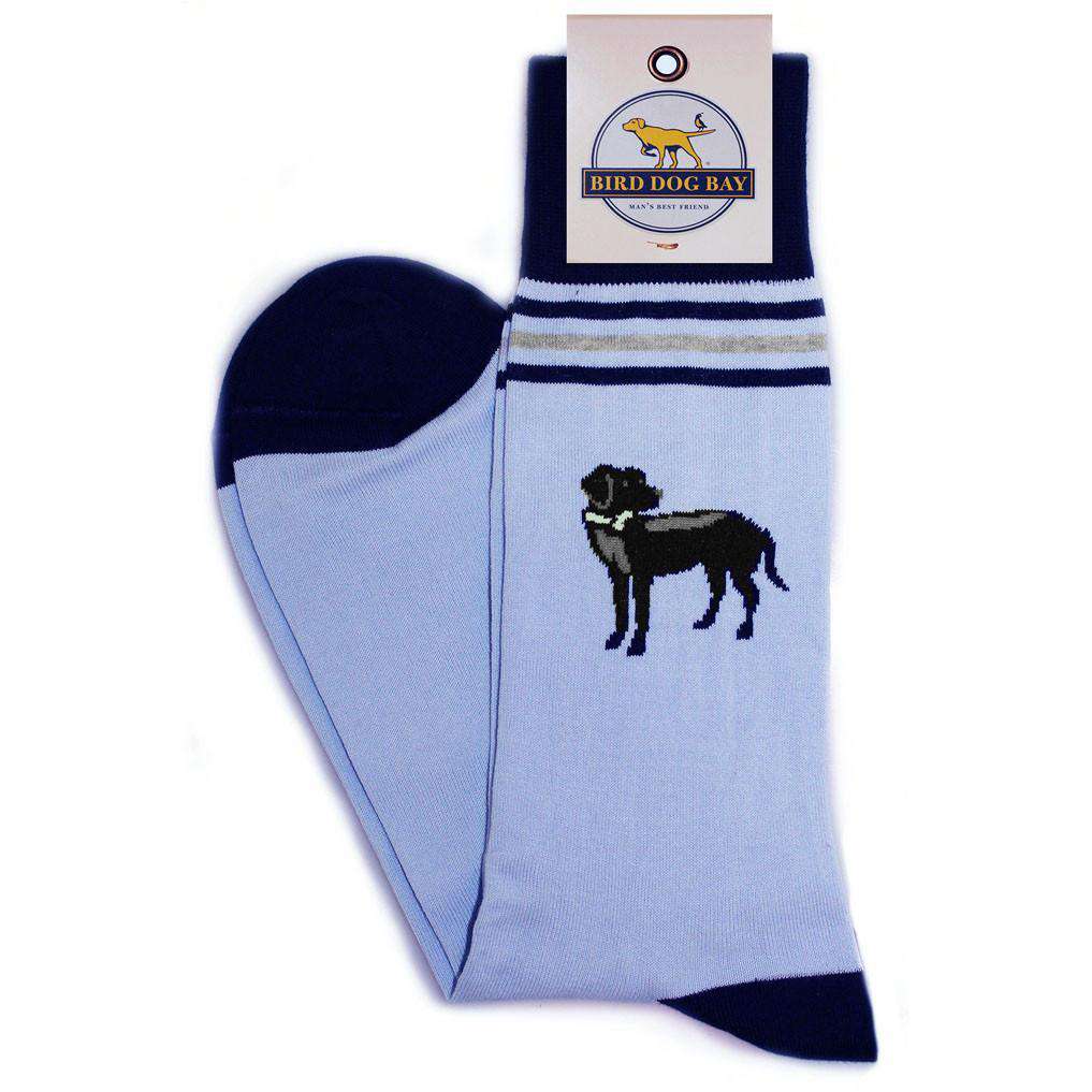 Lab Results Socks in Blue by Bird Dog Bay - Country Club Prep