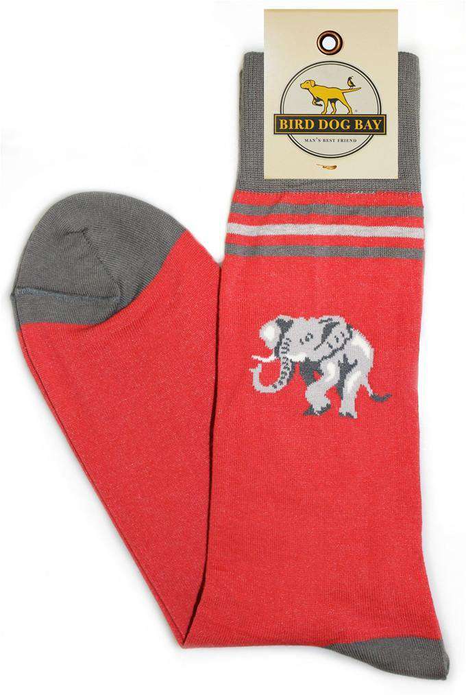 Lucky Trunks Sporting Socks in Crimson by Bird Dog Bay - Country Club Prep