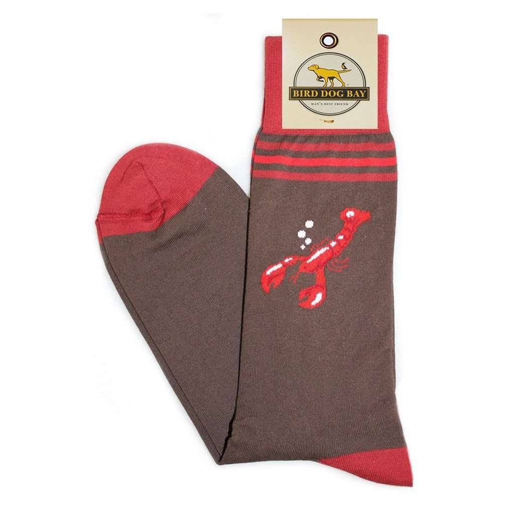 Maine Course Sporting Socks in Brown by Bird Dog Bay - Country Club Prep