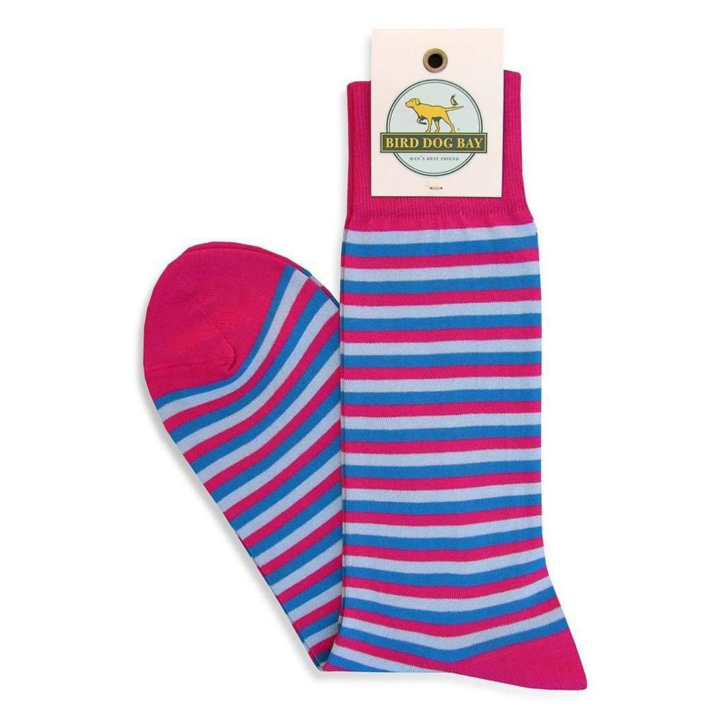 Triple Stripe Sporting Socks in Fuchsia and Blue by Bird Dog Bay - Country Club Prep