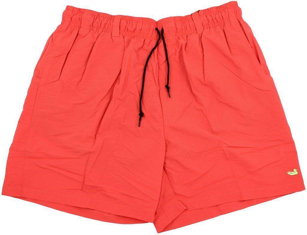 Southern outlet marsh swimsuits