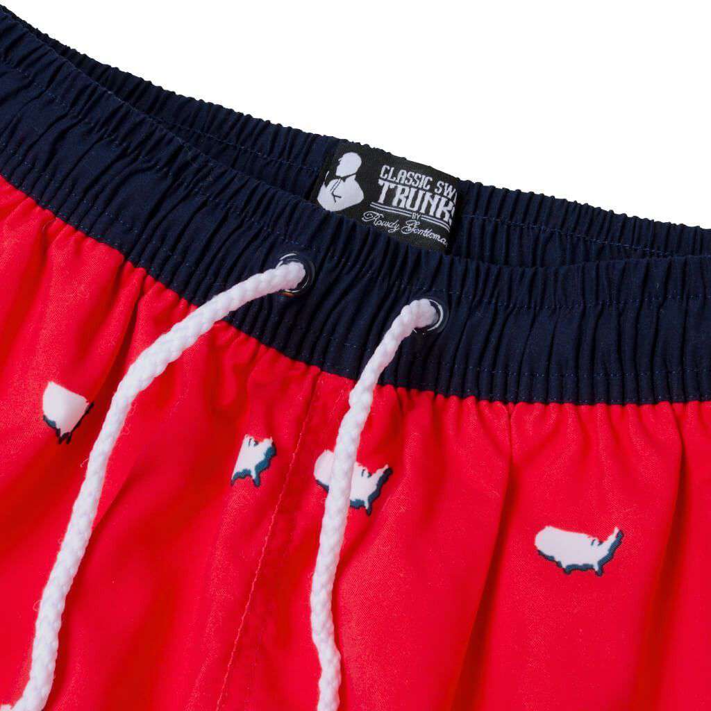 USA Repeating Swim Trunks in Red by Rowdy Gentleman - Country Club Prep