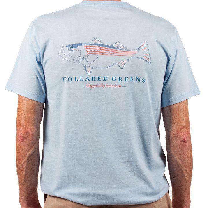 American Made Striper Tee in Carolina Blue by Collared Greens - Country Club Prep