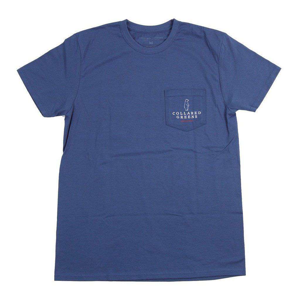 Bald Eagle Short Sleeve T-Shirt in Steel Blue by Collared Greens - Country Club Prep