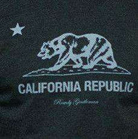 California State Pride Vintage Tee in Faded Grey by Rowdy Gentleman - Country Club Prep