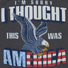 I'm Sorry I Thought This Was America Tank Top in Metal by Rowdy Gentleman - Country Club Prep