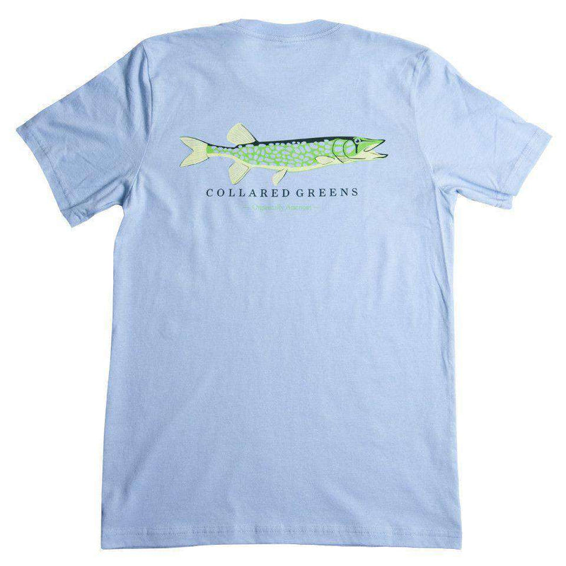 Pike Tee Shirt in Carolina Blue by Collared Greens - Country Club Prep