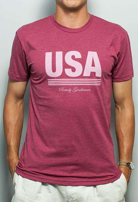 Retro USA Tee in Faded Red by Rowdy Gentleman - Country Club Prep