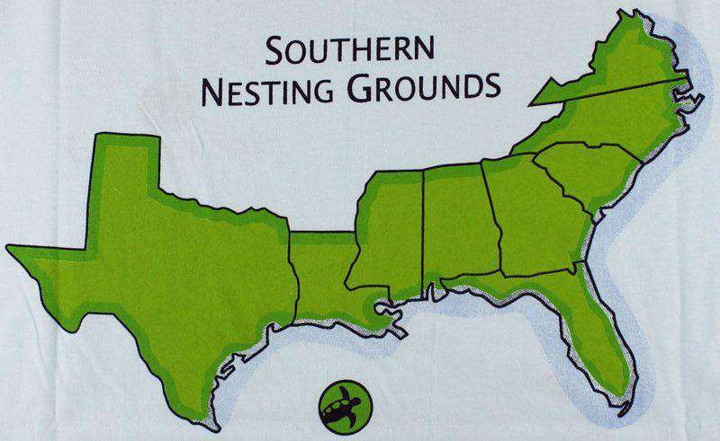 Southern Nesting Grounds Tee in Sky Blue by Loggerhead Apparel - Country Club Prep