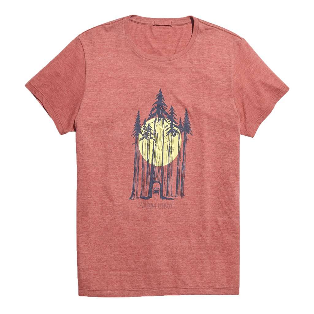 Redwoods Tee by Marine Layer - Country Club Prep