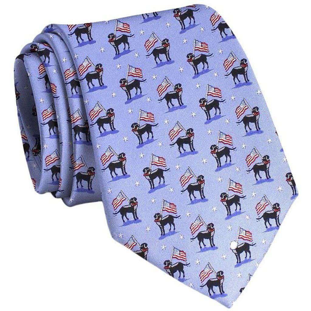 American Labs Neck Tie in Blue by Bird Dog Bay - Country Club Prep