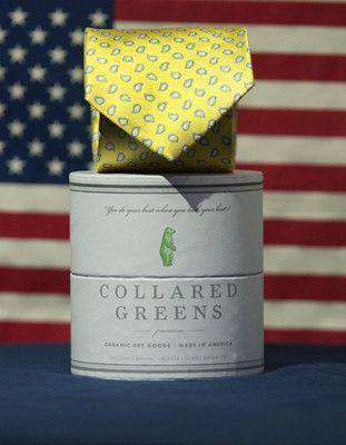 Azalea Tie in Yellow by Collared Greens - Country Club Prep