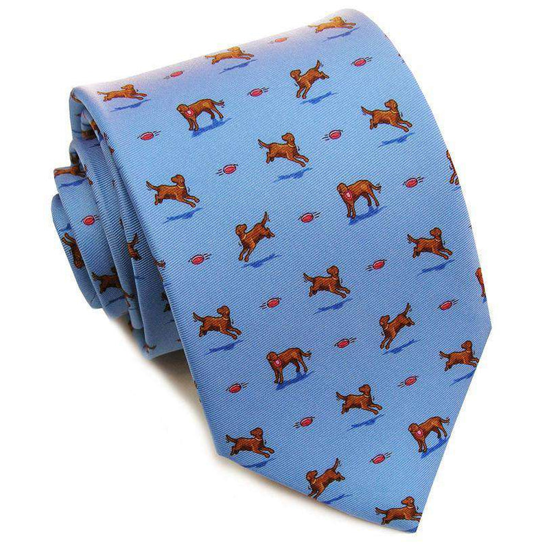 Lab Partners Neck Tie in Blue by Bird Dog Bay - Country Club Prep