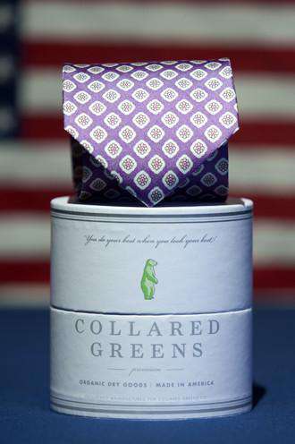 The Clark Tie in Purple by Collared Greens - Country Club Prep