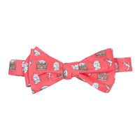 Cville Trio Custom Bow Tie by Bird Dog Bay - Country Club Prep