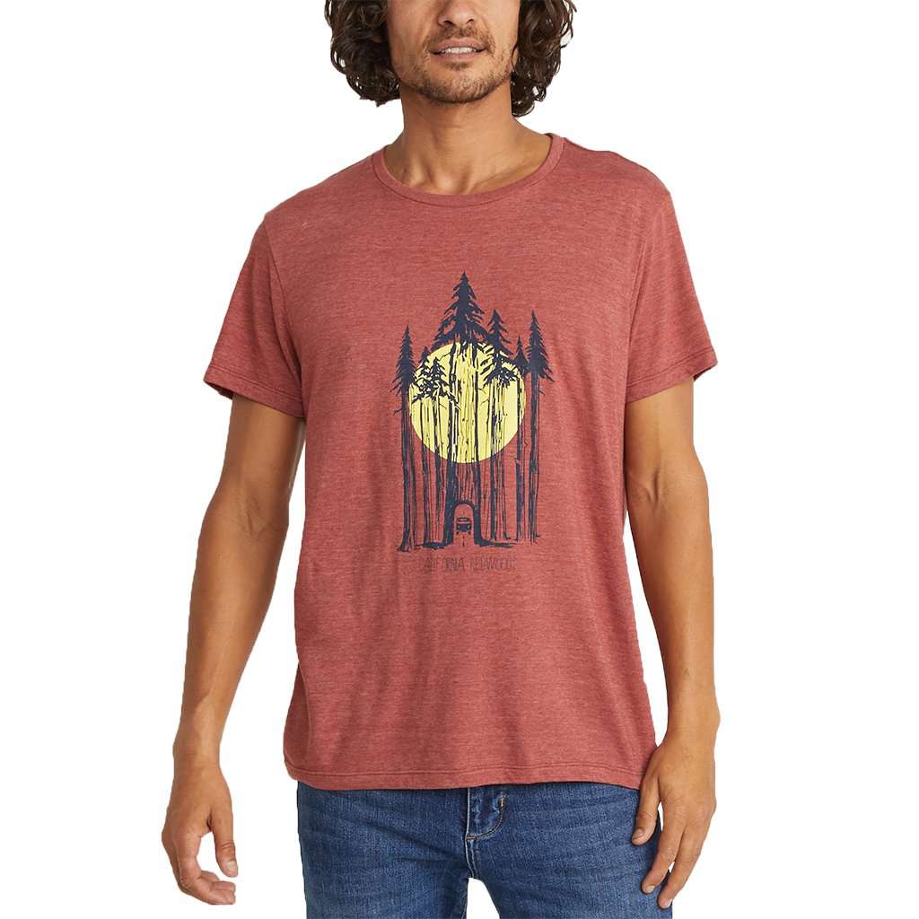Redwoods Tee by Marine Layer - Country Club Prep
