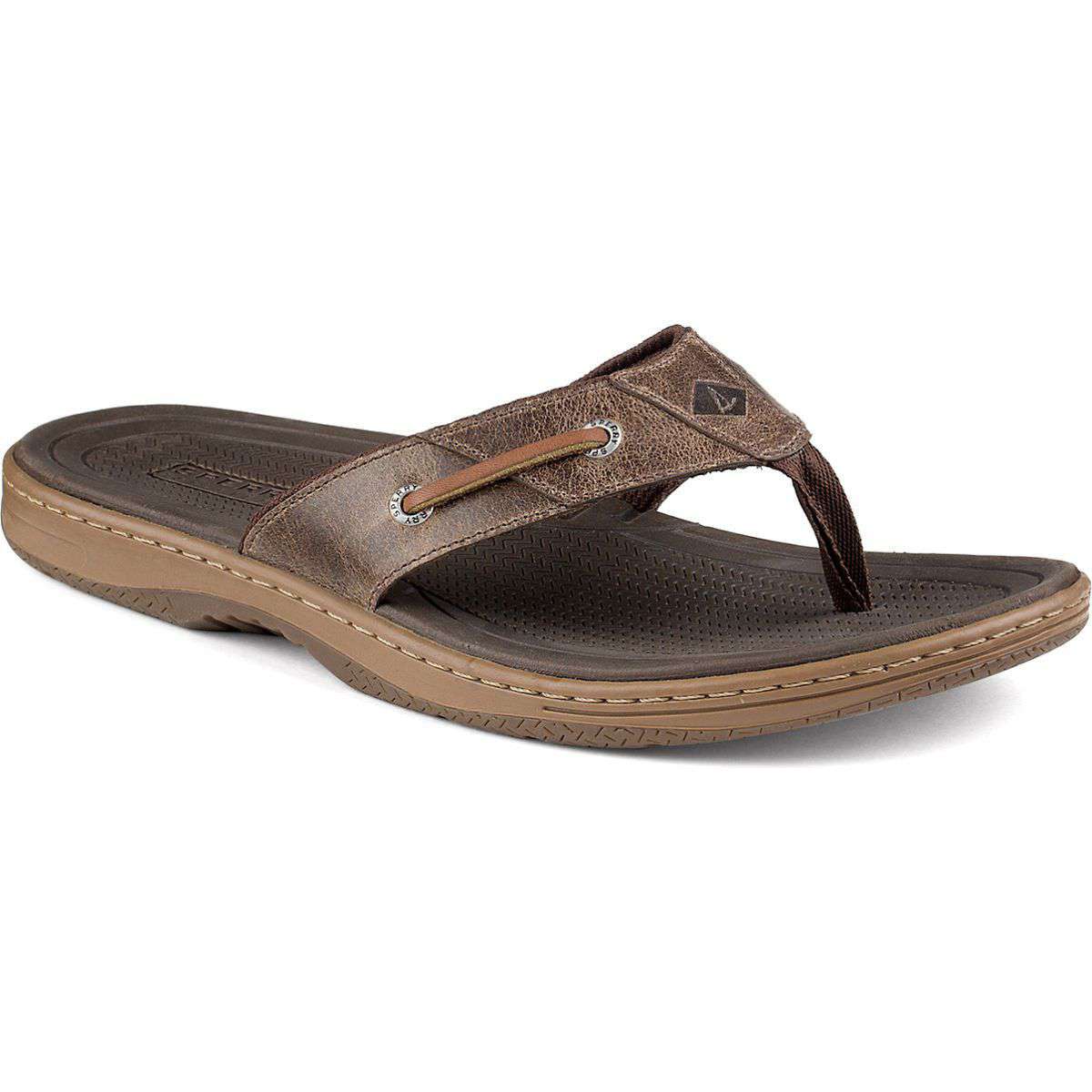 Men's Baitfish Thong Sandal in Brown by Sperry - Country Club Prep