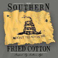Youth Don't Tread On Me Long Sleeve Tee Shirt in Grey by Southern Fried Cotton - Country Club Prep