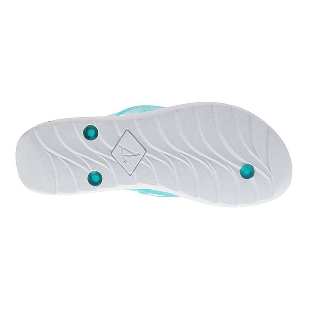 Women's Jellyfish Emma Flip-Flop in Aqua by Sperry - Country Club Prep