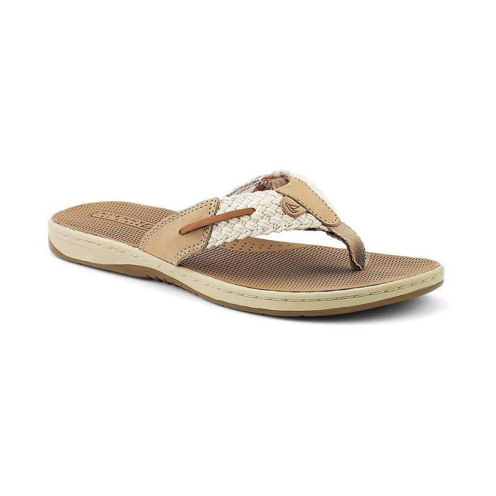 Women's Parrotfish Thong Sandal in Ivory by Sperry - Country Club Prep
