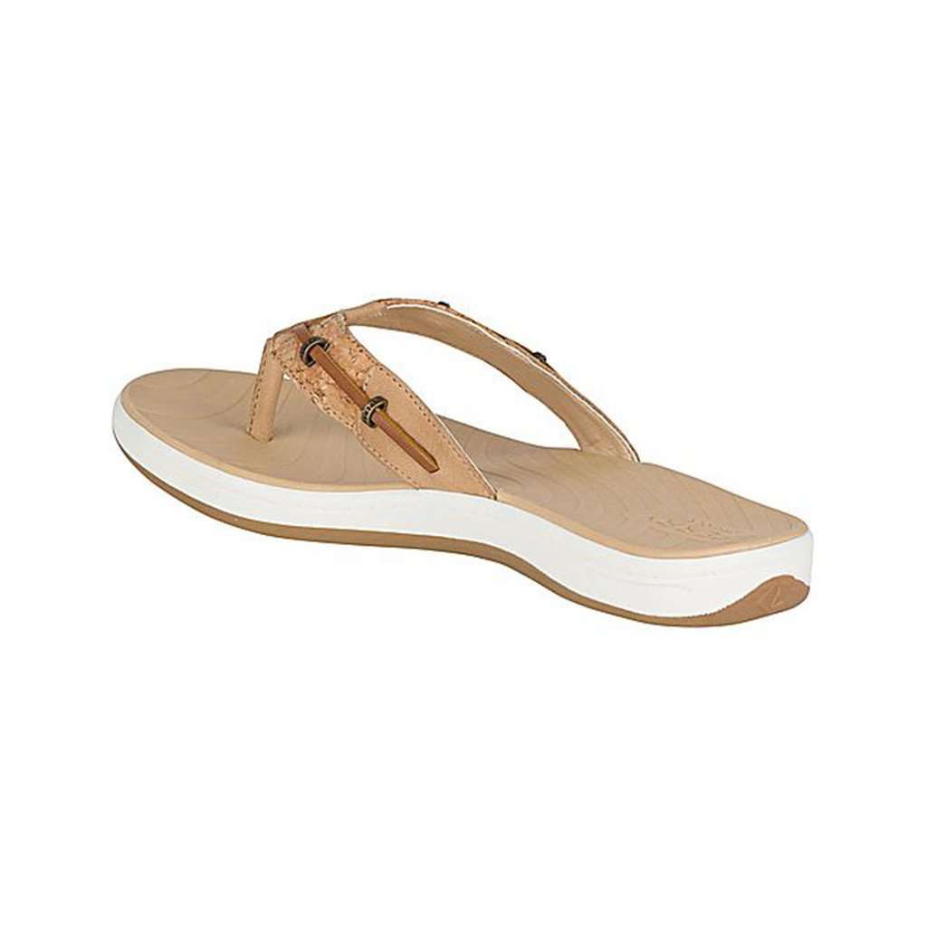 Women's Seabrook Surf Flip Flop in Cork by Sperry - Country Club Prep