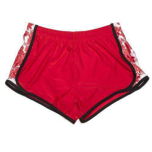 Alpha Omicron Pi Shorts in Patriot Red by Krass & Co. - Country Club Prep