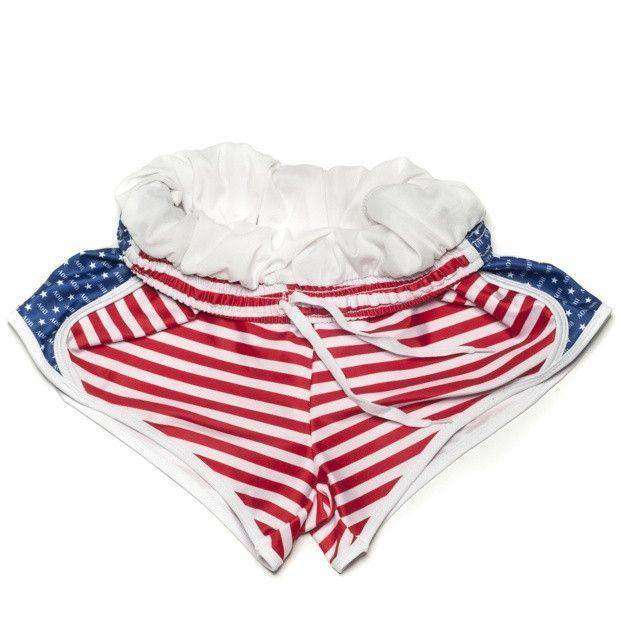 Alpha Omicron Pi Shorts in Red, White and Blue by Krass & Co. - Country Club Prep